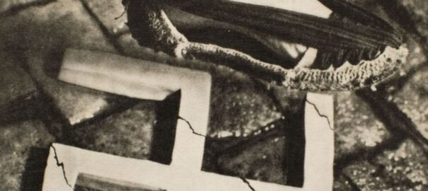 angelsmcastells 💜🎗✊️ tweet media