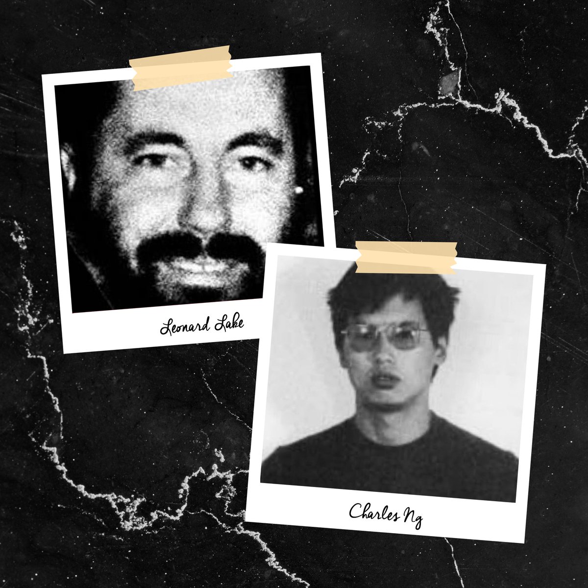 morbidezusters's tweet image. Op deze foto's zie je 4 seriemoordenaars voor wie het boek of de verfilming van The Collector als inspiratie diende voor hun gruwelijke daden. Christopher Wilder (foto 1), Bob Bardella (foto 2) en het duo Leonard Lake en Charles Ng (foto 3).