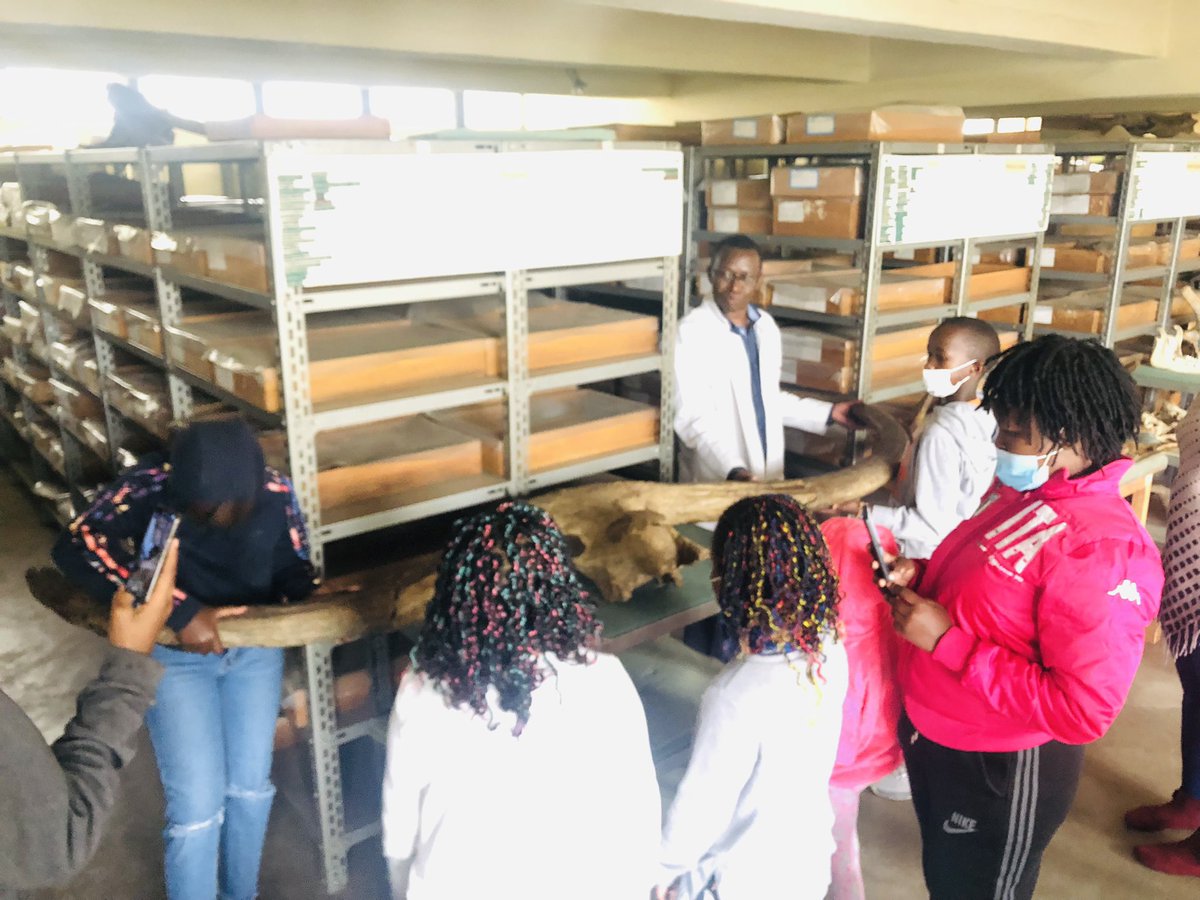 prehistoryclub's tweet photo. Junior  aspiring paleontologist receiving lecture about fossils, how they are formed and how to excavate led by Vivian and Prehistory club interns.They were also toured by Dr. Kibii Head of paleontology section around the palaeontology lab  to learn more about fossils. https://t.co/zP1dcG4g1i