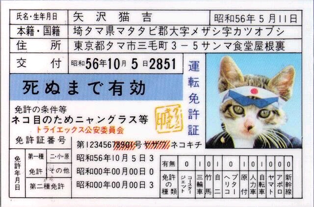 なめねこ なめねこ