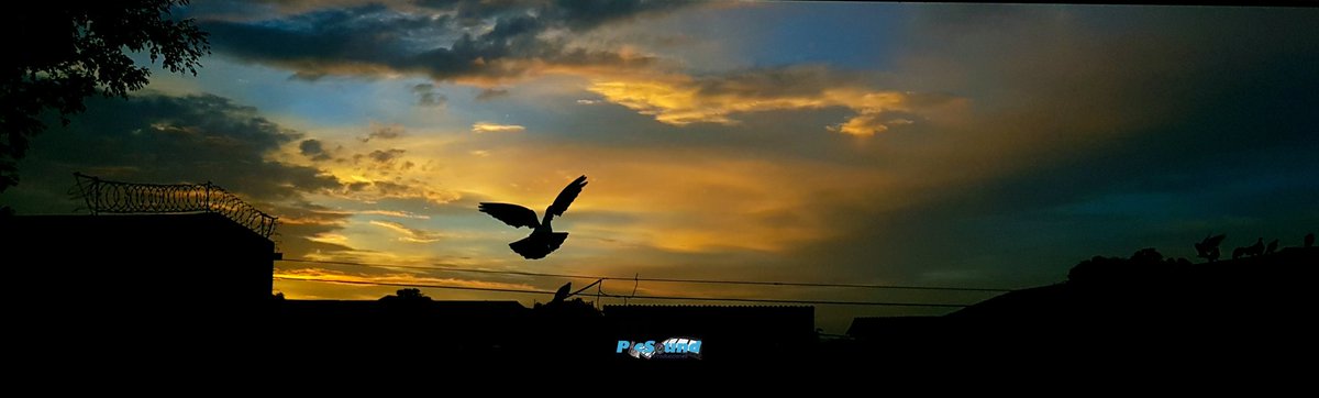 FitTVsv's tweet photo. Birds in the blue sky. 

📸 @picsoundproducciones 

Swipe 👉

☀️️ #God  #Photo  #sunrise #sunlight  #Landscape  #nature #sky #SunriseLover #LandscapePhotography  #Moments #photooftheday  #beautifulday #Photographers  #goodday   #Photography  #Birds  #Colors #ElSalvador https://t.co/HV8NfkTZ0N