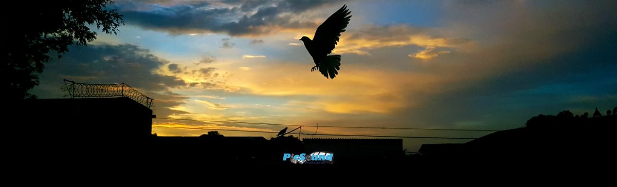 FitTVsv's tweet photo. Birds in the blue sky. 

📸 @picsoundproducciones 

Swipe 👉

☀️️ #God  #Photo  #sunrise #sunlight  #Landscape  #nature #sky #SunriseLover #LandscapePhotography  #Moments #photooftheday  #beautifulday #Photographers  #goodday   #Photography  #Birds  #Colors #ElSalvador https://t.co/HV8NfkTZ0N