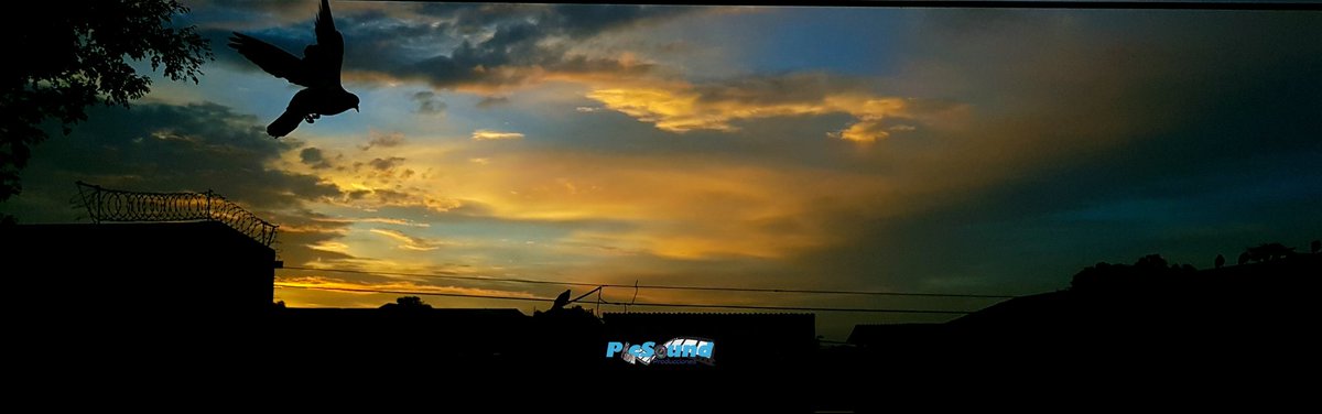 FitTVsv's tweet photo. Birds in the blue sky. 

📸 @picsoundproducciones 

Swipe 👉

☀️️ #God  #Photo  #sunrise #sunlight  #Landscape  #nature #sky #SunriseLover #LandscapePhotography  #Moments #photooftheday  #beautifulday #Photographers  #goodday   #Photography  #Birds  #Colors #ElSalvador https://t.co/HV8NfkTZ0N