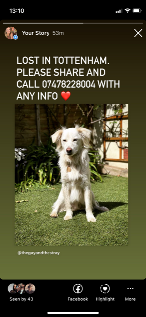 __bakes's tweet photo. LONDON FRIENDS PLEASE SHARE>>> xx https://t.co/sIY1THkWYB