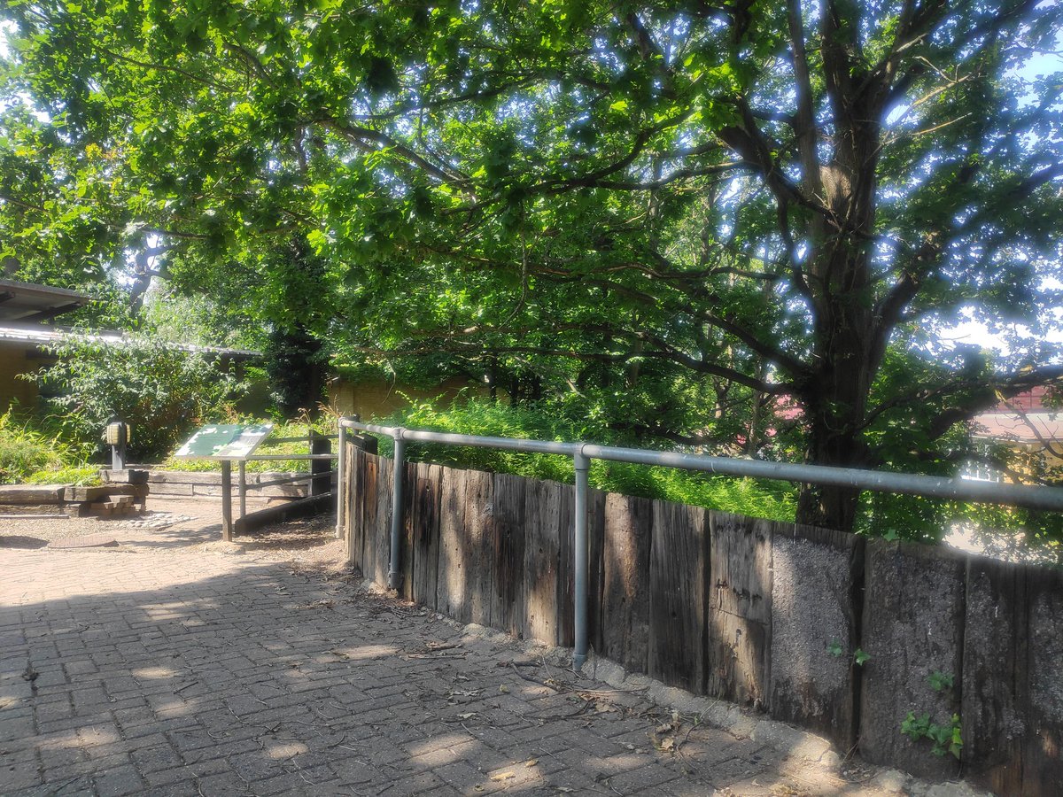 adbygrave's tweet photo. Lovely to escape the office to a quiet corner of @UniofHerts campus for lunch. Very peaceful up by the @uhchaplain Key building! https://t.co/HxNQxXlKIa