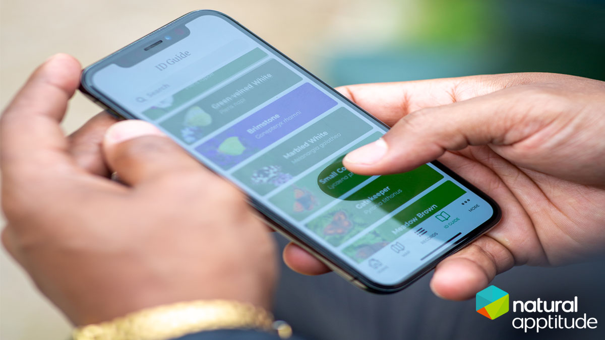 Without the use of software, projects like the Big #ButterflyCount🦋 would be almost impossible to undertake. 

Our latest blog highlights how you can use software to effectively collect data on a large scale.  Read here👇natural-apptitude.co.uk/how-software-e…