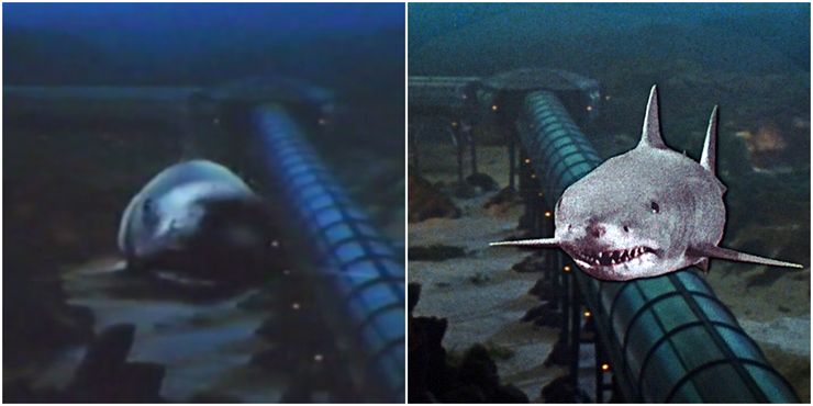 The Daily Jaws on X: The infamous 'glass smash' #shark shot from #Jaws 3D  was originally a head-on #video composite shot (left) but optical effects  were favoured for the #finalcut (right). #movies #