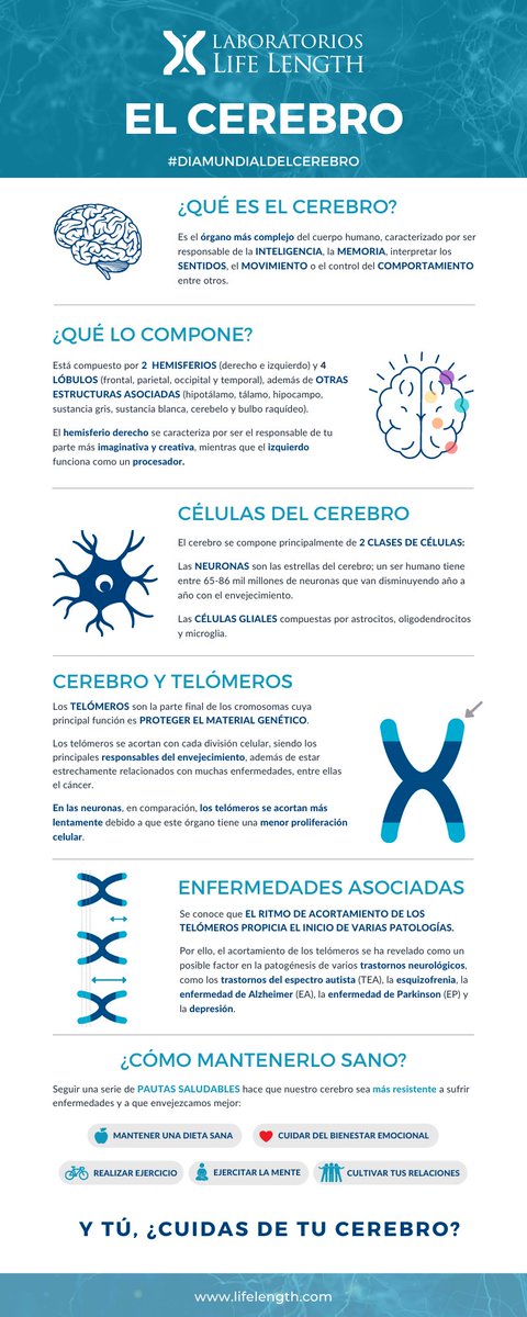 LifeLength's tweet photo. Hoy día 22 de julio es el #DíaMundiaDelCerebro una fecha que intenta crear conciencia social sobre su potencial, promover los hábitos necesarios para cuidar la #salud cerebral e informar para prevenir las enfermedades más habituales.
Y tú, ¿Cuidas de tu cerebro?
#Lifelength https://t.co/Ycpu9sz1df