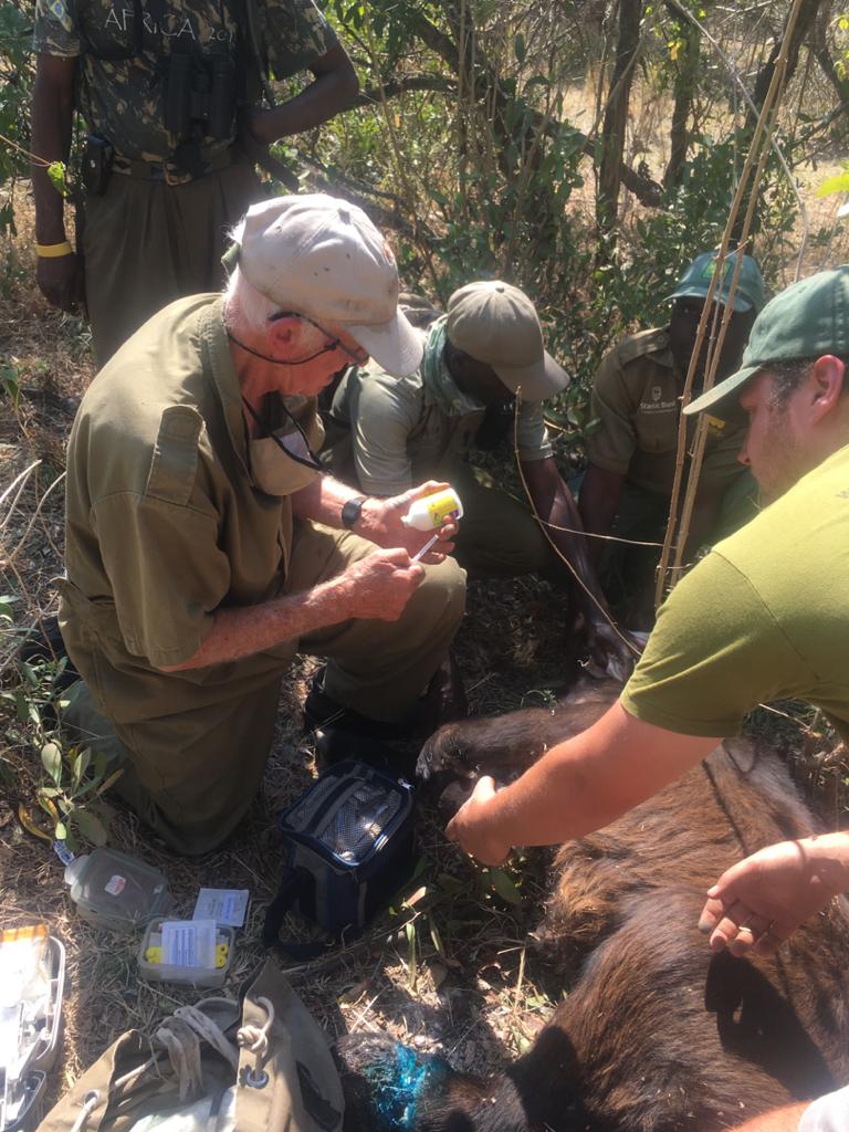 VicFallsWildlifeTrust tweet media