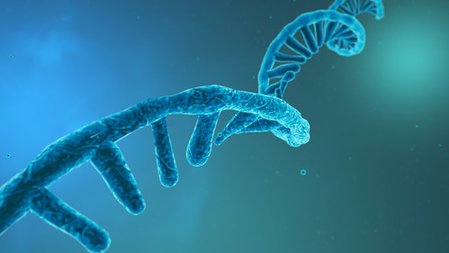 BiologicalSyst1's tweet photo. Pharma and Biotech to Highly Invest in RNA Therapeutics to Expedite Research &amp; Development across the Globe https://t.co/65pa1J1JiK To know more visit:https://t.co/3viFkmpeoF https://t.co/PlCuMgXc0i