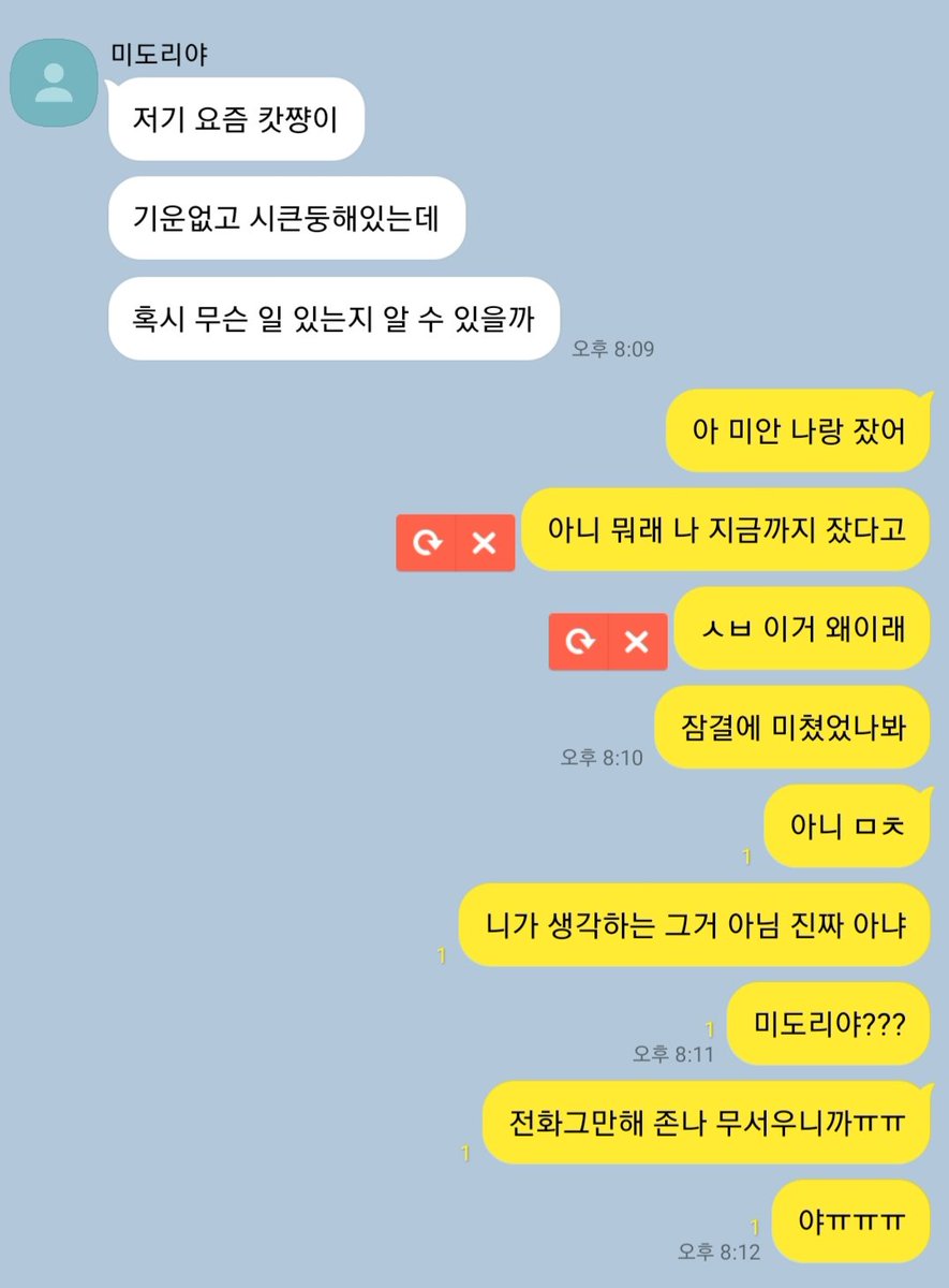 데쿠캇 카피페 tweet media