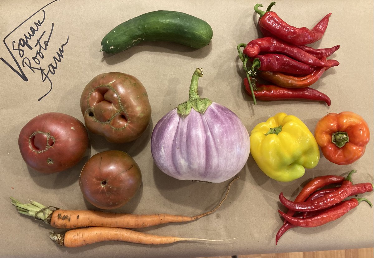 SquareRootsFarmNC tweet media