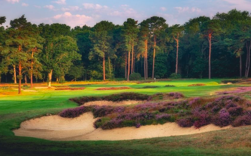RainBirdCorp's tweet photo. We're pleased to be an integral part of Woking #Golf Club's recent tees renovation. The tees now feature two 5004 Series rotors operated by #ICSystem valves and Stratus II Central Control. The design enables more IC rotors to be installed in the future. https://t.co/1BlZXbwBue https://t.co/tWdGQ4E5oI
