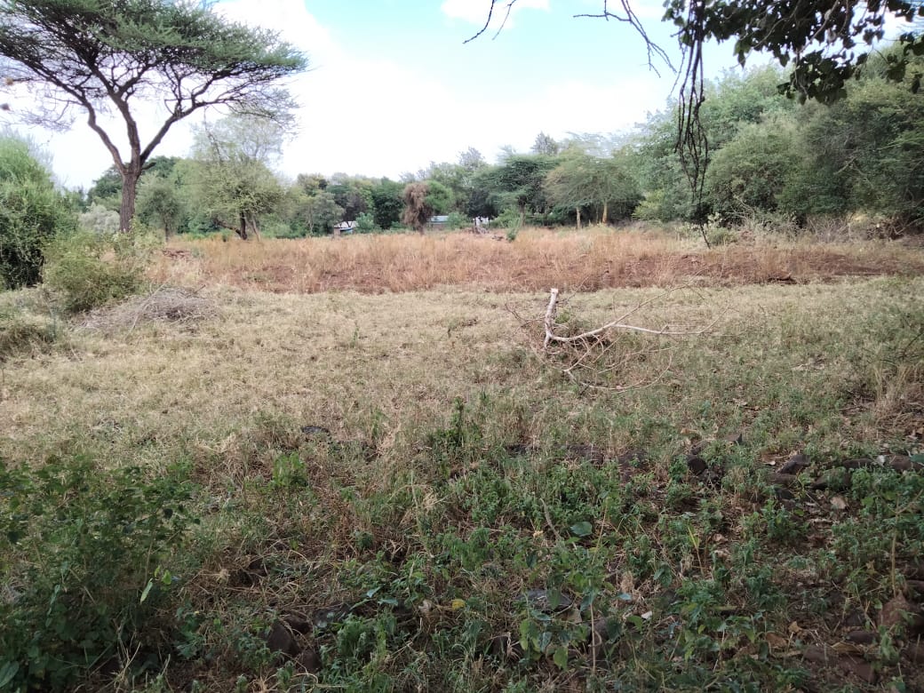 Myspace_Kenya's tweet photo. Fronting the Isiolo-Meru highway, in #MailiSaba, is 2 Acres of land for sale. There's a flowing river at the far end of the land.
The parcel is suitable for either commercial, residential development or farming.
Sale: Ksh3M per Acre
0734555556
Whatsapp - https://t.co/qGZ2wIPdJj https://t.co/LmJyNmw2x5
