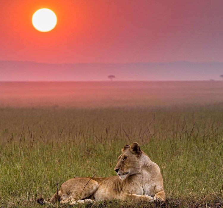 During your holiday time enjoy been in these place and make refreshment with family ,friend, couples !!!!!! welcome make  booking 👍👍