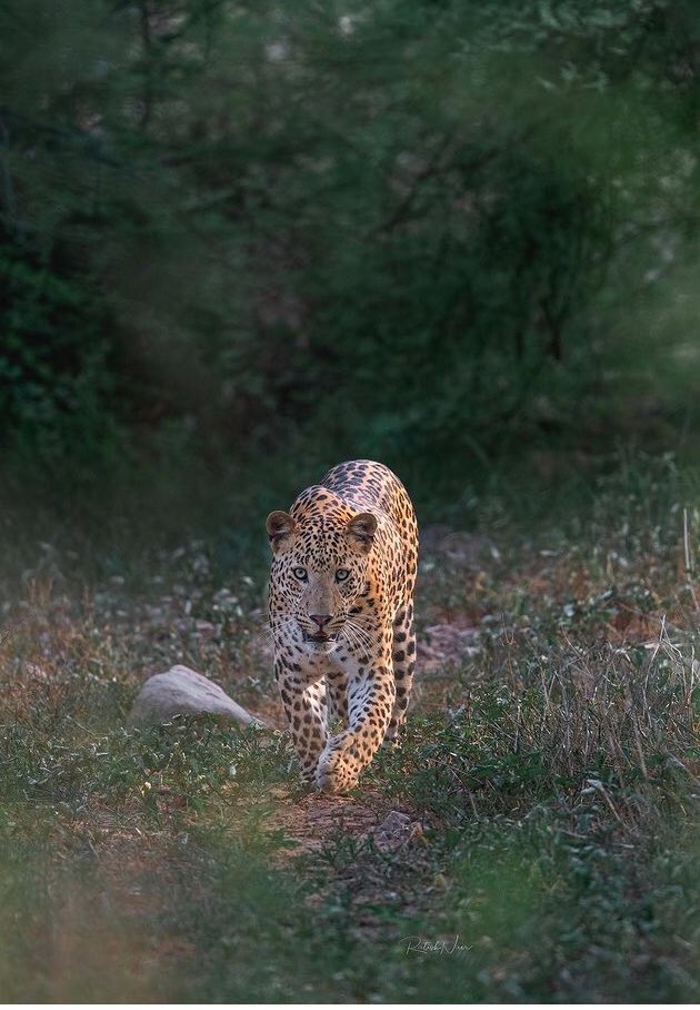 make  booking my whatsapp contact is +255756022821  !!! Hope you will Enjoy your tripe👍👍