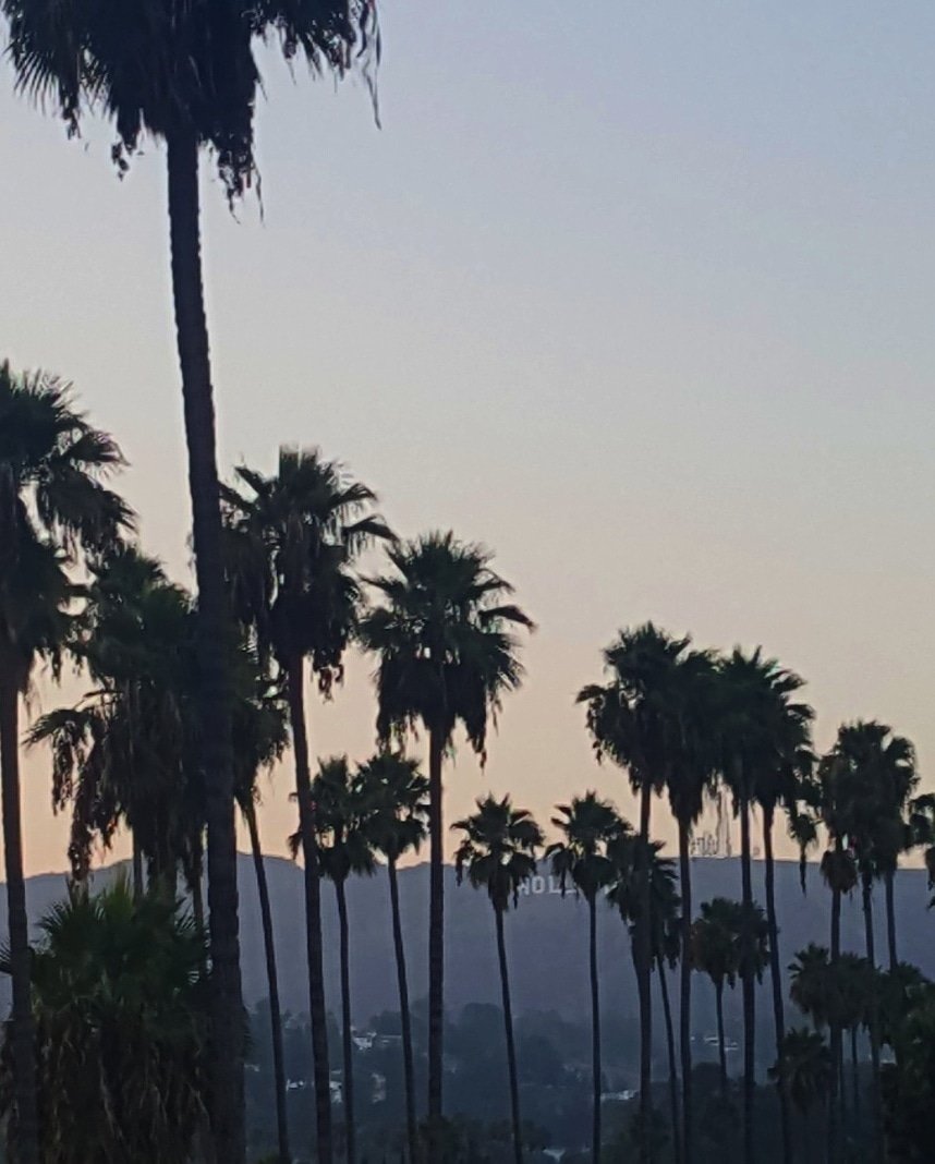 Un destino soñado y siempre que pensamos en LA, California, nos viene a la mente las típicas palmeras con las letras de Hollywood (que se ven al fondo, en lo alto de la montaña) ¿Y a vosotrxs qué es lo primero que se os viene a la mente al pensar en este destino?