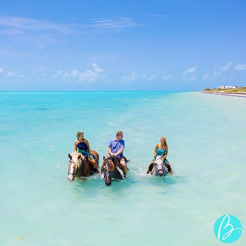 TCITourism's tweet photo. Horseback riding in paradise, pure bliss๐
๐ธ@brilliantturks / @provoponies
#TurksAndCaicosReopen #TurksAndCaicos #TCI #SisterIslands #BeautifulByNature #WeAreTurksAndCaicos #RediscoverTCI https://t.co/8FJjo4tPTt