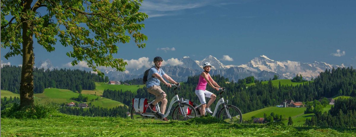 Der Schweiz-Experte tweet media