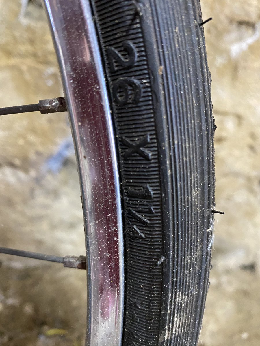 Cyclotherapy tweet media