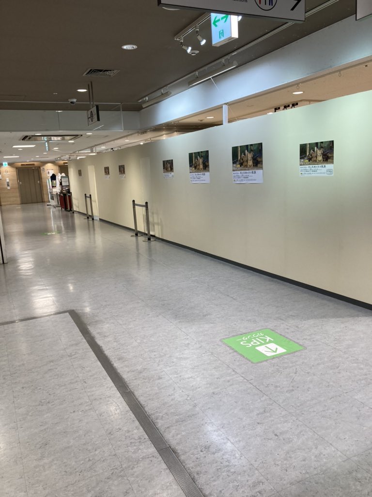 井上 真人 Masatoinoue1216 Twitter