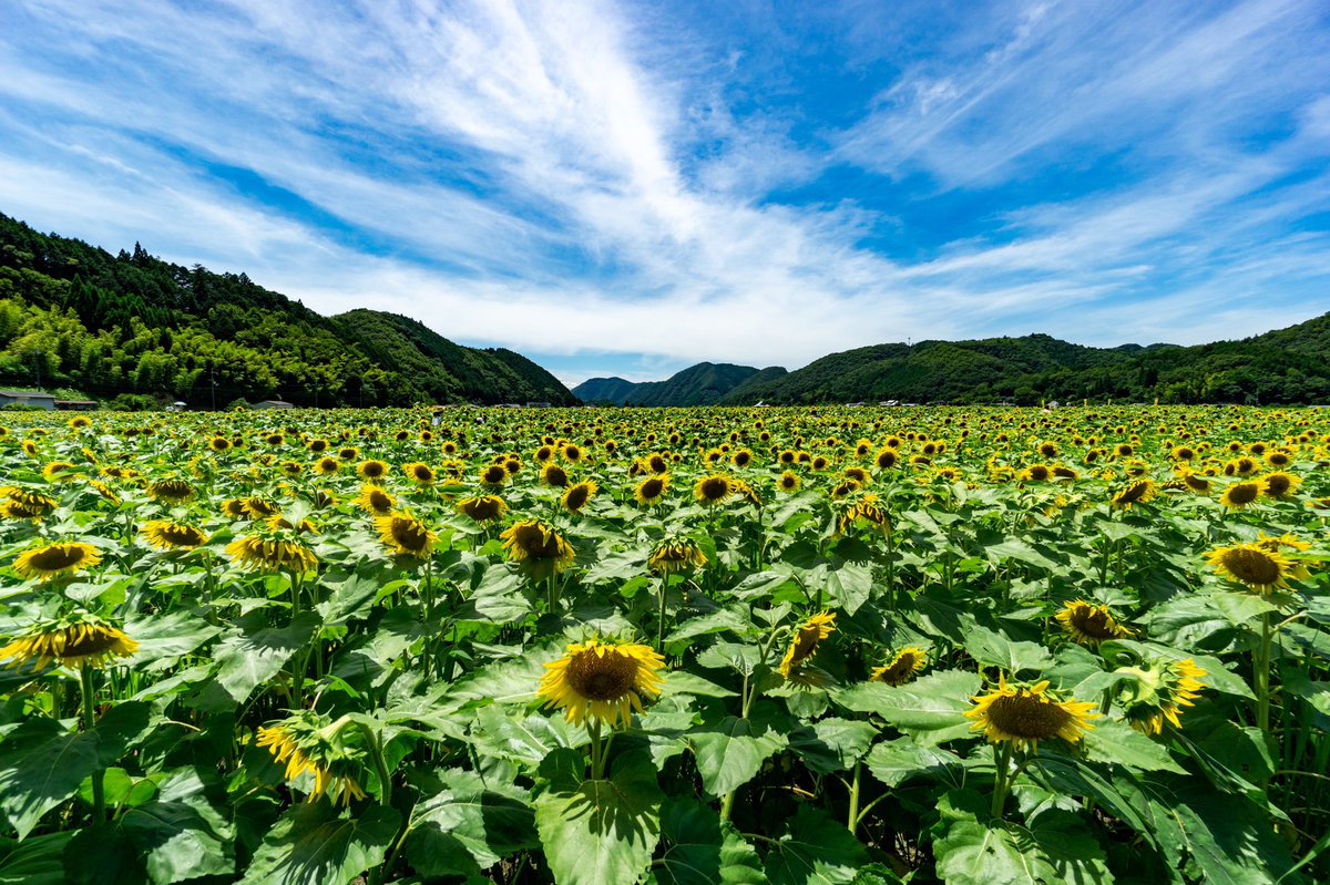 佐用町 サイクリング 口コミ 評判 素敵な旅行 観光スポット情報がきっと見つかる ナウティスgo