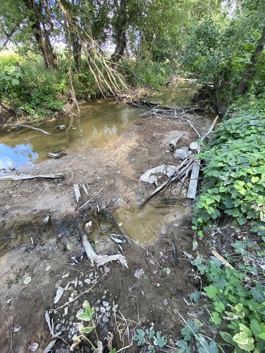 Сегодня вечером собираем подписи за очистку реки Каменки от загрязнений, строительного мусора. 
Река была залита цементом заводом ООО «МастерСтрой».
 
#ЗАПриморский #Приморскийрайон