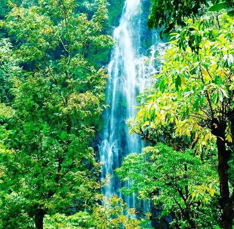 These is among of good waterfall found here have a tripe here to enjoy