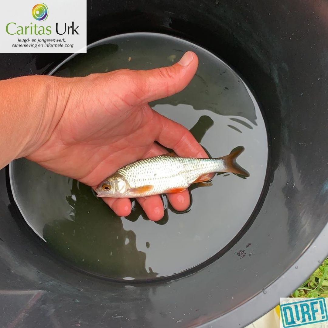 Heb jij je poerstok al klaar staan? Morgenmiddag kan je om 14.00 uur meedoen met een viswedstrijd aan de singel bij Het Ruim. Aanmelden hoeft niet, kom lekker mee poeren! Meedoen is gratis. #Durf