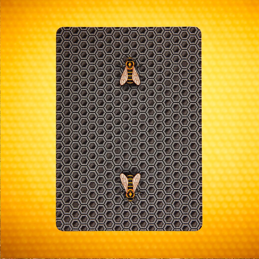 bicyclecards's tweet photo. ♣️♦️♥️♠️ The Custom Division is buzzing this week about the 2 new decks from Penguin Magic, Bicycle Honeybees!
Contact the Custom Division @https://bit.ly/3qhBlHP to start your set!
#USPCC #Bicyclecards #custommade #honeybee #playingcards #penguinmagic @penguincards https://t.co/4hh4FN1pXL
