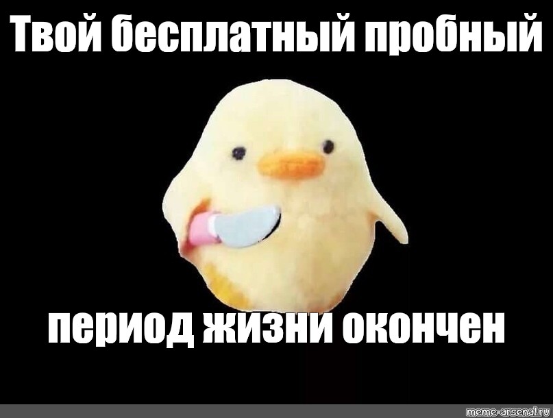 Уточка мем. Утка с ножом Мем. Цыпленок с ножиком. Мемы с цыплятами.