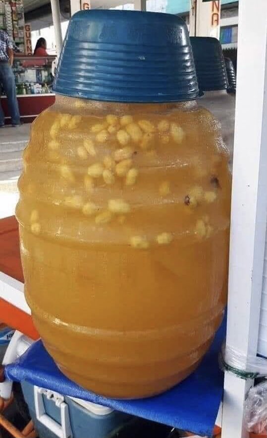 love_veracruz_'s tweet photo. 🤗😍😋Agüita de jobo. La mejor del mundo mundial. #Veracruz https://t.co/cSRFGwxRtF