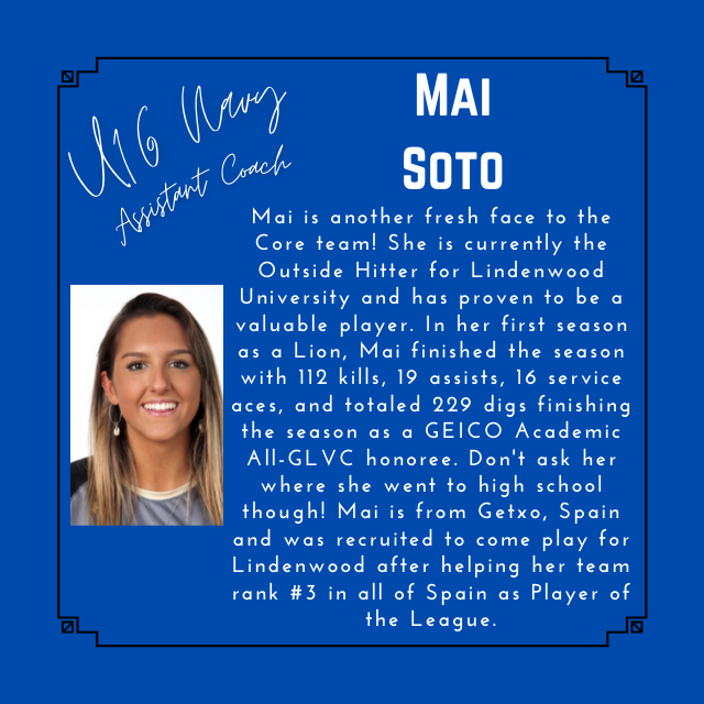 Core STL tweet media