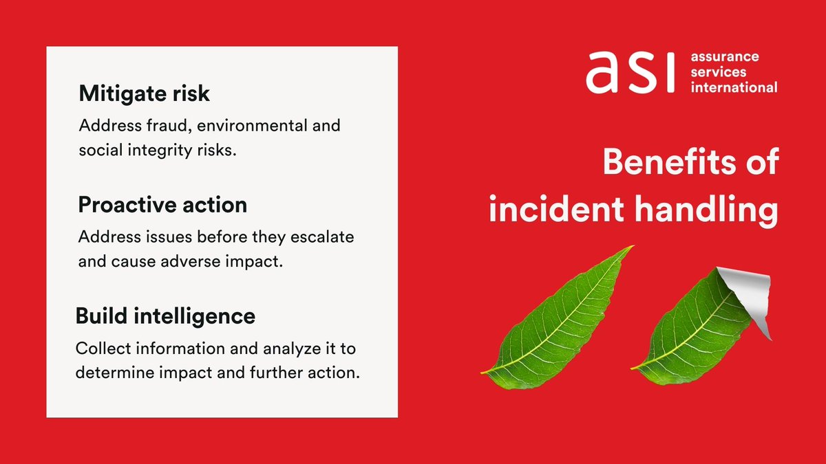 ASI - Assurance Services International tweet media