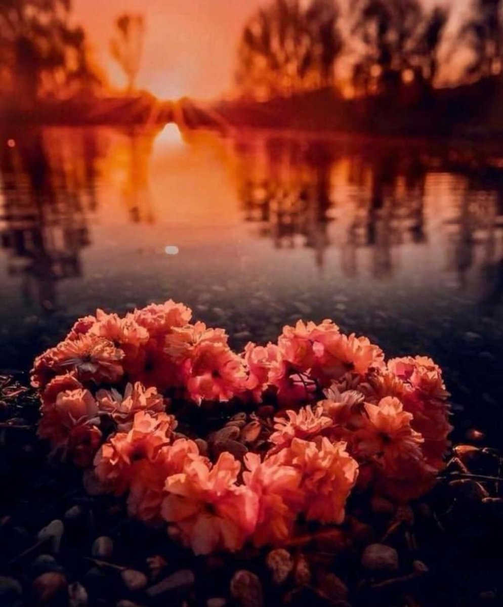 Убавите работи во животот се случуваат кога најмалку очекувате