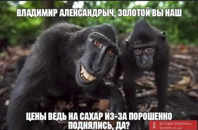 Инфляция впервые за три последних года превысила 10%, – Госстат - Цензор.НЕТ 4336