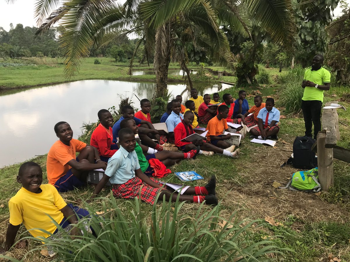 StNicholasWDG's tweet photo. Fantastic news! Care4kids @OpenworkLtd have donated £10,000 to cover teachers’ and staff’s salaries for 6 months at FML Kabarole #UgandaSchool. Thank you for your wonderful support #teachers #learning #africa https://t.co/yXO3rO7QGW