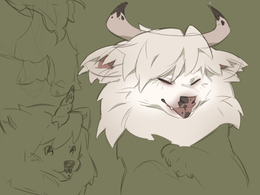 samoyed/highland cattle mix i keep thinking about... going for ultimate fluff