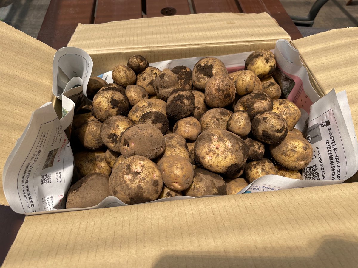 シェア畑 サポート付き貸し農園 お野菜 クイズ ジャガイモ の仲間はどっち ナス だと思う方は リツイート さつまいも だと思うからは いいね でクイズに参加 正解は48時間後 ヒントはお花を想像してみて シェア畑 家庭菜園