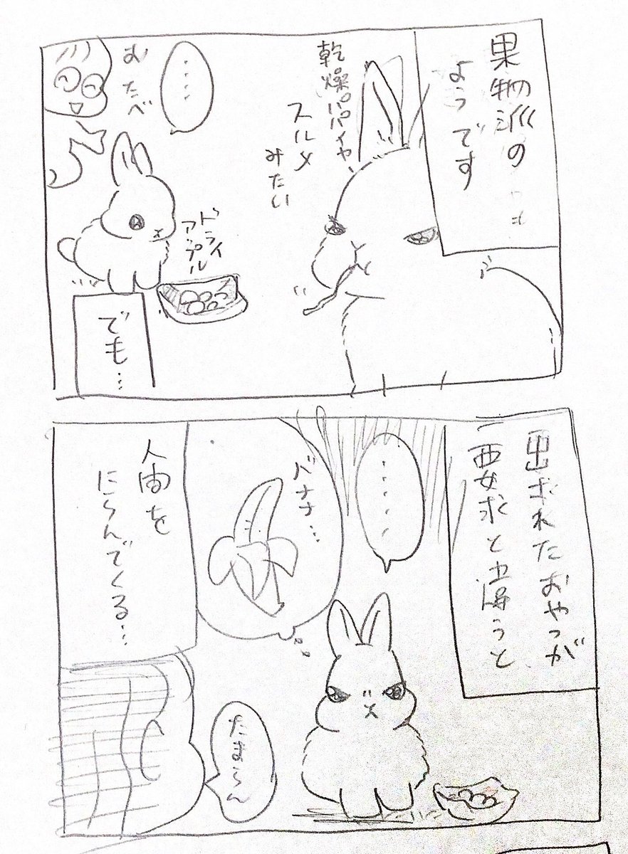 うさぎの好きなおやつの話(そしてしっぽ秘話) 