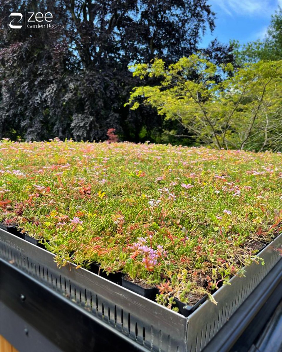 One of our latest installs includes this beautiful Sedum roof, with no less than 16 different species of plant, It produces flowers from June right through till September. So not only does it look amazing, It supports the local wildlife and its environment