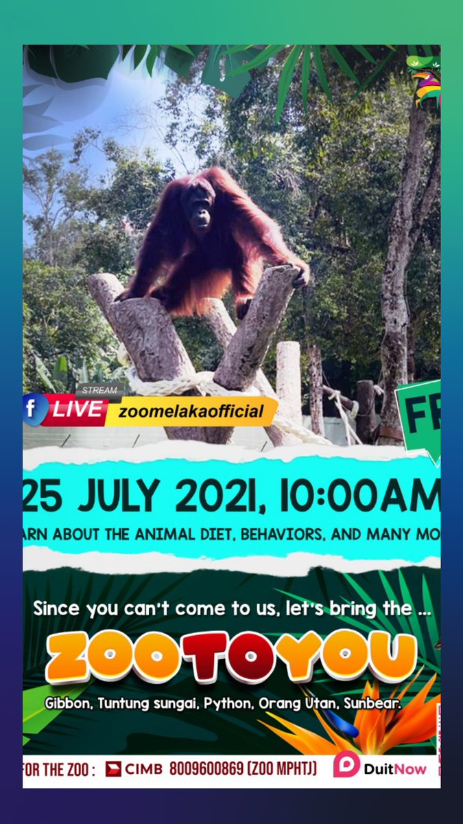 Zoo Melaka dan Taman Burung tweet media