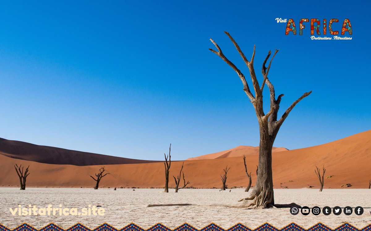 Namib-Naukluft Park, Namibia’s largest conservation area contains some of the country’s most iconic attractions: towering sand dunes, the imposing canyon, forgotten shipwrecks and ghost towns, mountain ranges, and lichen-encrusted gravel plains. visitafrica.site/namib-naukluft…