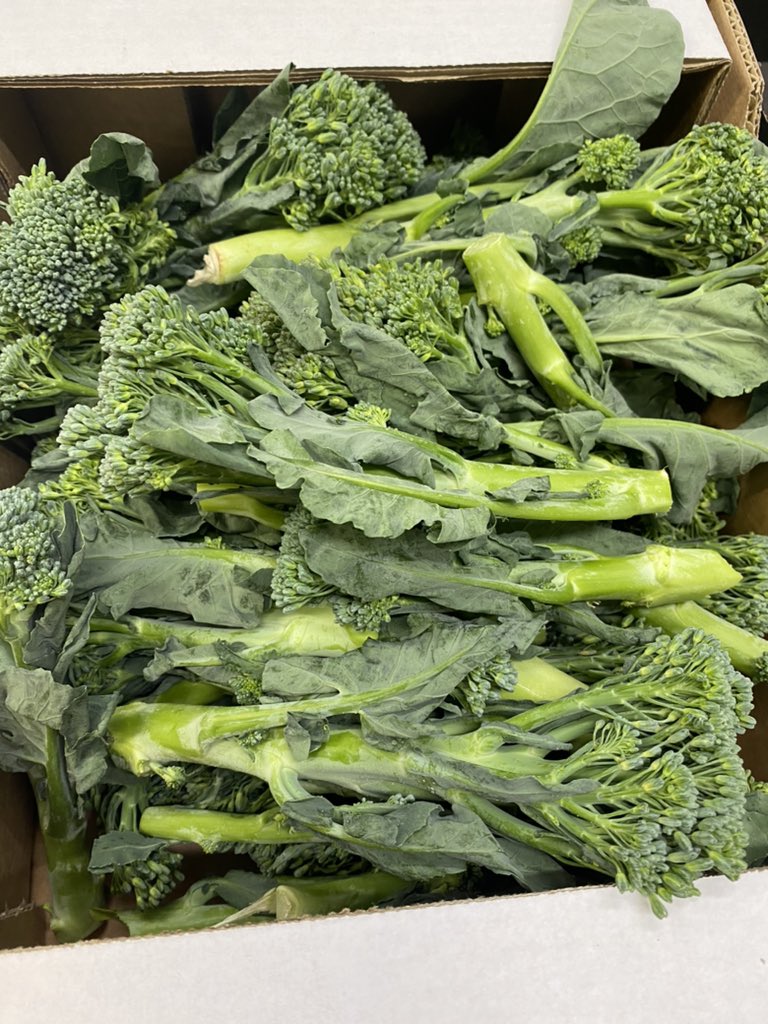 JaniceCaseyB's tweet photo. Lovely delivery from two amazing suppliers @taylorsoflusk & @BallymakennyF fantastic broccoli and unreal wet garlic, black garlic and scapes thanks as always to Amy in @keelingsfruits https://t.co/CbfKOAIlMs