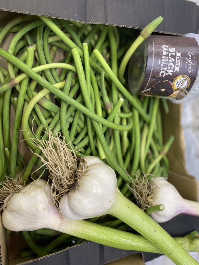 JaniceCaseyB's tweet photo. Lovely delivery from two amazing suppliers @taylorsoflusk & @BallymakennyF fantastic broccoli and unreal wet garlic, black garlic and scapes thanks as always to Amy in @keelingsfruits https://t.co/CbfKOAIlMs