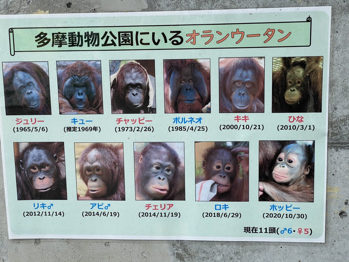 Takahiro Takahiro608 Twitter