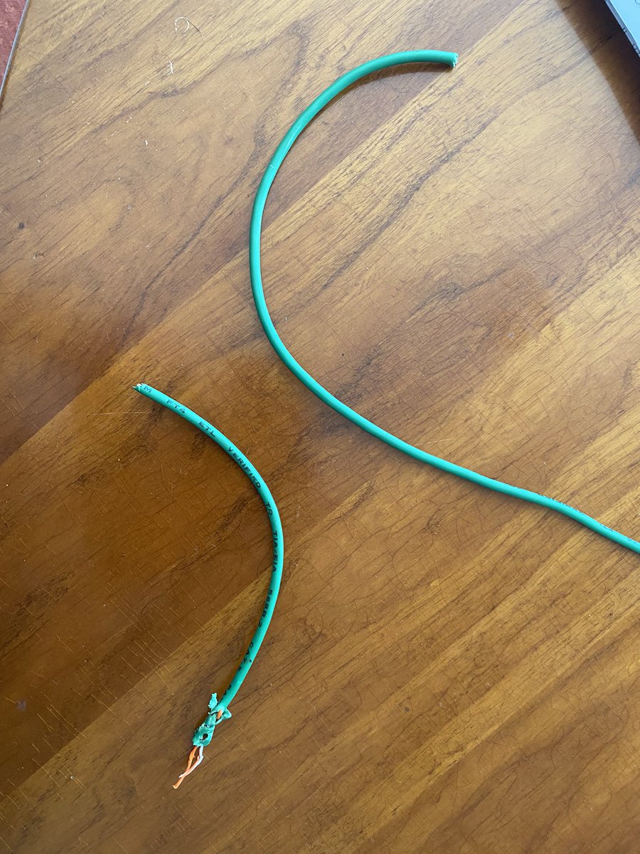 Sdeyoung1's tweet image. @EVERFIK12 Our puppy Georgie attempted to have the LearnOn be about him by chewing through the wire to cut off the WiFi. Thank goodness for personal hotspot on my phone. Thank you for an incredible LearnOn. 😊🙌#LearnOn2021