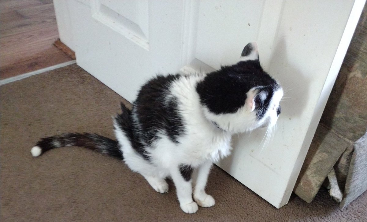 MUMMY......MUMMY......where are you ???