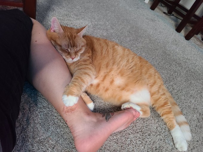 Something, something, check out my pussy. https://t.co/mAQuGqAxs0<a href="/tag/food"class="tags"><span>#food</span></a><a href="/tag/instagram"class="tags"><span>#instagram</span></a><a href="/tag/ihop"class="tags"><span>#ihop</span></a><a href="/tag/wafflehouse"class="tags"><span>#wafflehouse</span></a><a href="/tag/dennys"class="tags"><span>#dennys</span></a><a href="/tag/onlyfans"class="tags"><span>#onlyfans</span></a>