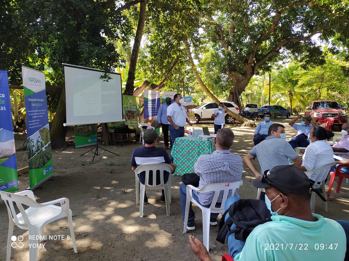 GANABAS2's tweet image. De la mano con #agrosavia #fedegan #codegacor y #ganabas brindándole capacitación a nuestros ganaderos de nuestros municipios